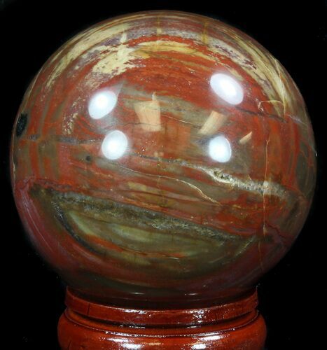 Colorful Petrified Wood Sphere #36956